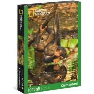 Puzzle Rekin National Geographic Chimpanzee 1000el. 39301 - i-clementoni-1000el-national-geographic-39301.jpg