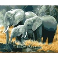 Malowanie po numerach Słonie rodzina nad rzeką 40x50cm 1005589 Norimpex  - malowanie_po_numerach_slonie_rodzina_nad_rzeka_40_x_50cm_5589_5902444055897.jpg