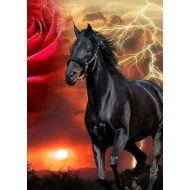 Diamentowa mozaika Czarny koń na tle błyskawicy i czerwonej róży 30x40cm 5D 1007438 Norimpex - maly_diamentowa_mozaika_czarny_kon_na_tle_blyskawicy_i_czerwonej_rozy_30x40cm_1007438_5902444074386.jpg