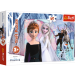 Puzzle Frozen II Magiczna Kraina Lodu 30el.18275 Trefl