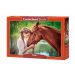 Puzzle Dziewczyna z Koniem "Great Friendship" 500el. 52516