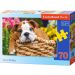 Puzzle Słodki Buldog 70el.007134 Castorland
