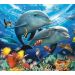 Malowanie po numerach Delfiny,oceanarium 50x40cm 1005608 Norimpex