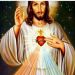 Malowanie po numerach Jezus Chrystus serce 50x40cm 1006535 Norimpex