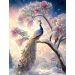 Malowanie po numerach Paw na gałęzi 40x50cm 2000394 Norimpex