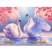 Diamentowa mozaika Dwa łabędzie 30x40cm 5D 1009377 Norimpex