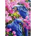 Malowanie po numerach Papugi fioletowe w kwiatach 40x50cm 1008500 Norimpex