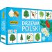 Memory Drzewa Polski - gra pamięciowa 7882 Adamigo