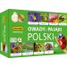 Memory Owady i pająki - gra pamięciowa 7868 Adamigo